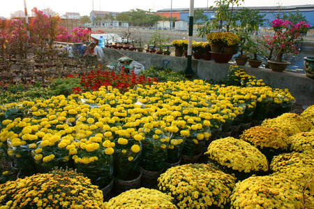 HO CHI MINH CITY, VIET NAM- FEB 12: Colorful, vibrant scene in springtime at Ben Binh Dong, Saigon, crowded atsmosphere for Tet, street with spring flower at open air market, Vietnam, Feb 12, 2015のeditorial素材