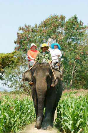 BUON ME THUOT, VIET NAM- FEB 25: Group of tourist traveling Vietnamese countryside, traveler ride elephant, cross rural with green flield, this is Daklak's travel product, Vietnam, Feb 25, 2015のeditorial素材