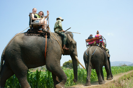 BUON ME THUOT, VIET NAM- FEB 25: Group of tourist traveling Vietnamese countryside, traveler ride elephant, cross rural with green flield, this is Daklak's travel product, Vietnam, Feb 25, 2015のeditorial素材