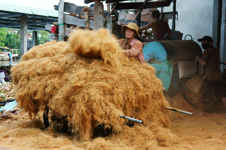 BEN TRE, VIET NAM- JUNE1: Asian worker work hard outdoor on day, Vietnamese man transfer material...
