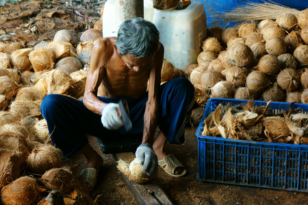 BEN TRE, VIET NAM- JUNE 1: Group of Asian worker working at coconut workshop to process coconut fruit, Vietnamese people split copra, material for candy and oil, Mekong Delta, Vietnam, June 1, 2015のeditorial素材