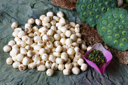 Collection of lotus, pink lotus flower, green seed, white lotus seed in fresh and dry, herbal tea of this flora, with amazing, abstract concept in vibrant color, this food make healthy , good sleepの写真素材