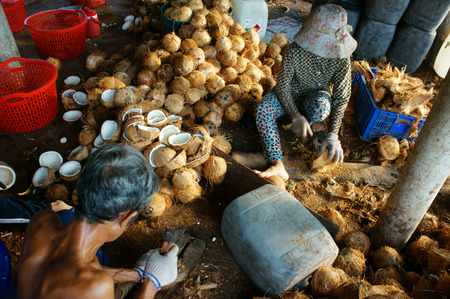 BEN TRE, VIET NAM- JUNE 1: Group of Asian worker working at coconut workshop to process coconut fruit, Vietnamese people split copra, material for candy and oil, Mekong Delta, Vietnam, June 1, 2015のeditorial素材