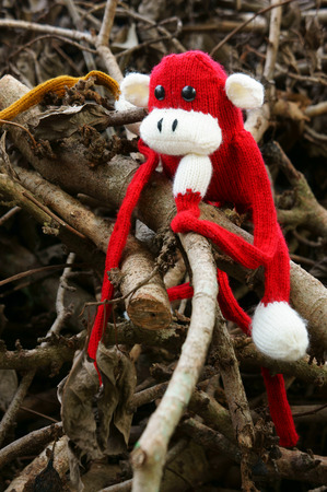 Abstract knitted monkey, symbol of year 2016, handmade toy from yarn, she lie down or sit lonely among nature, happy new year 2016, year of the monkeyの写真素材
