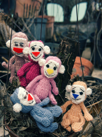 2016, year of monkey, symbol of intelligent, lucky, agile, group of handmade monkey at oudoor, knitted toy as stuffed animal make from yarn,  hand made product on dark backgroundの写真素材