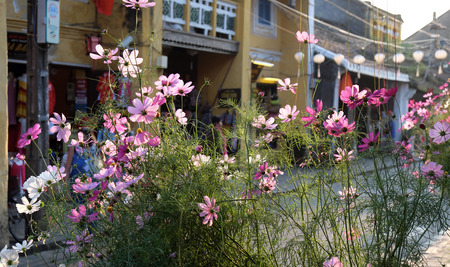 HOI AN, VIET NAM- FEB 17, 2016: Hoian old town, ancient house with tile roof, old architect, this place is country heritage, city friendly with environment, famous place for Vietnam travelのeditorial素材