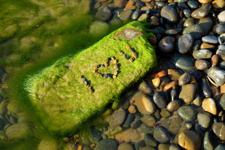 Love background with i love you message at beach, amazing arrange from pebble on green seaweed and stone background for couple in valentine day, a day for coupleの写真素材