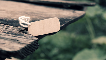 Abstract background for design with old wooden, piece of paper for text in vintage colorの写真素材