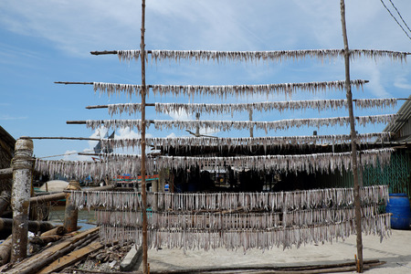 Seafood at Ca Mau fishing village, Mekong Delta, Vietnam. Dried fish is popular Vietnamese food, can store for long timeの写真素材