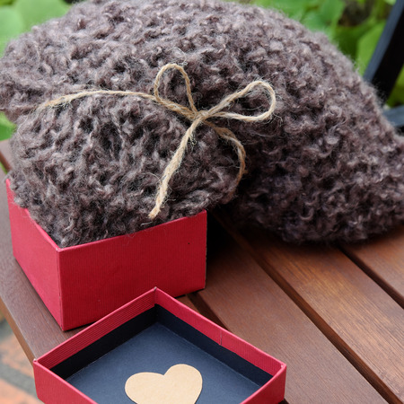 Handmade gift for mother on Xmas holiday, knitted scarf from brown yarn can make warm in cold weather at Christmas seasonの写真素材