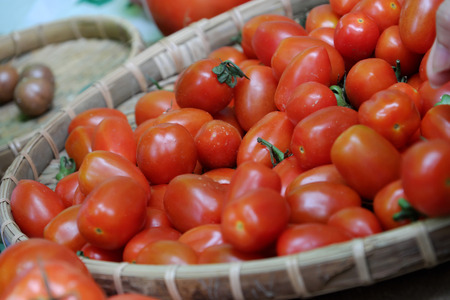 Group of tomato fruit show at safety agriculture fair, Vietnam agricultural product, rich vitamin a, c, good for healthの写真素材