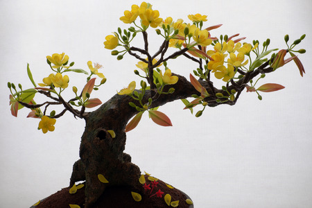 Vietnam spring flower for home decoration in springtime, handmade apricot blossom make from clay, amazing artwork with shade on white background, this kind of bonsai is tradition ornament on tetの写真素材