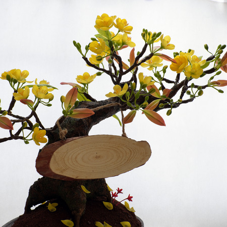 Happy new year with spring flower and wood banner on white background, amazing yellow apricot blossom make from clay, beauty artwork for home decoration in springtimeの写真素材