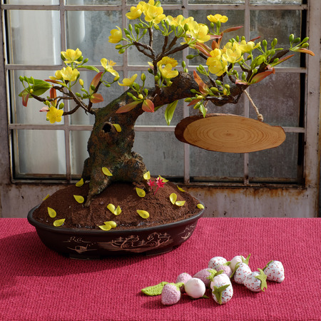 Vietnam spring flower for home decoration in springtime, handmade apricot blossom make from clay,...