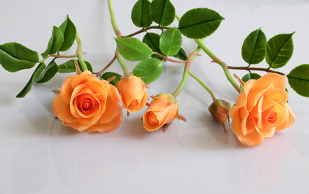 Wonderful clay art with orange roses flower relect on white background, beautiful artificial flowers of craftsmanshipの写真素材