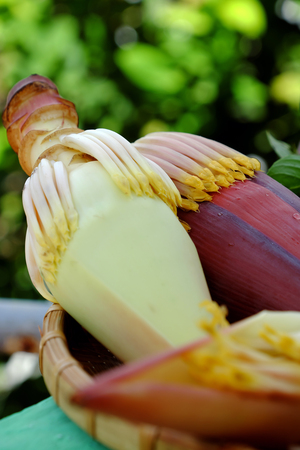 Close uo of banana flower on green background, a kind of popular vegetable that use in many Vietnamese foodの写真素材