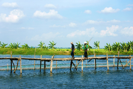 DONG THAP, VIET NAM- SEPT 23, 2014: Beautiful landscape at Mekong Delta, Vietnam on day, two man walking on old wooden bridge, across the river, green scenery make nice countryside, Vietnamの写真素材