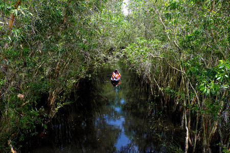LONG AN, VIET NAM- SEPT 2, 2017: Traveler in ecotourism at Tan Lap tourist area, woman rowing the row boat to transport people through melaleuca forest, beautiful landscape from high viewのeditorial素材