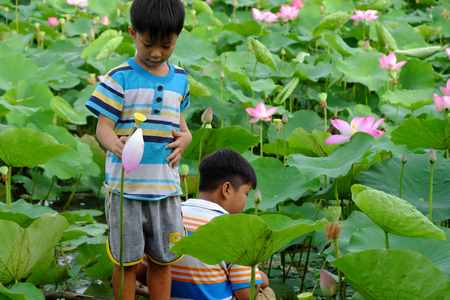 DONG THAP, VIET NAM- SEPT 2, 2017: Asian children sit on small bridge and play together at lotus pond, beautiful countryside, two brother happy with outdoor activity in summer at Mekong Delta, Vietnamのeditorial素材