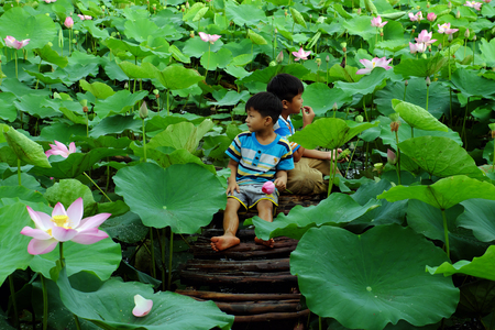 DONG THAP, VIET NAM- SEPT 2, 2017: Asian children sit on small bridge and play together at lotus pond, beautiful countryside, two brother happy with outdoor activity in summer at Mekong Delta, Vietnamのeditorial素材