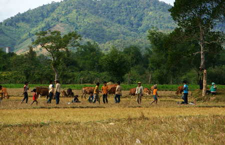 DAK LAK, VIET NAM- DEC 31, 2012: Group of dirty Asian children play on meadow at Vietnam countryside, group of ethnic minority boy at poor villageのeditorial素材