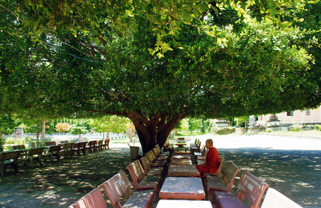 AN GIANG, VIET NAM- SEPT 20, 2014: People have a rest under tree shadow at noon of hot day, Vietnamese monks sit under tree for relax, benefit from green tree to human life, Vietnamのeditorial素材