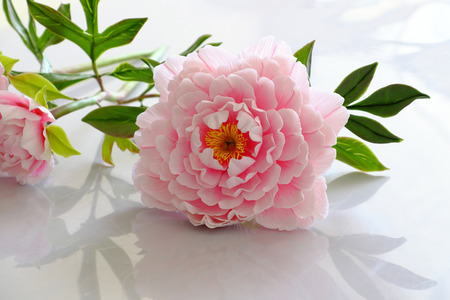 Amazing peony flower from clay on white background, artificial flower from clay art so wonderful, artwork with pink petal, green leaf so beautiful の写真素材