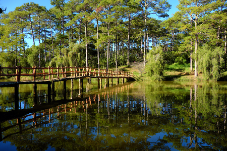 Beautiful scene of  Than Tho lake, Da Lat city, Vietnam in morning, row of pine tree reflect on surface water, small bridge  cross a lake among pine forest, blue sky and fresh air make wonderful ecotourism in summerの写真素材