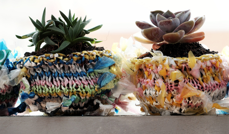Amazing recycled product from nylon bag, good idea recycle by cut and knit nylon yarn into basket as pot to plant succulentの写真素材