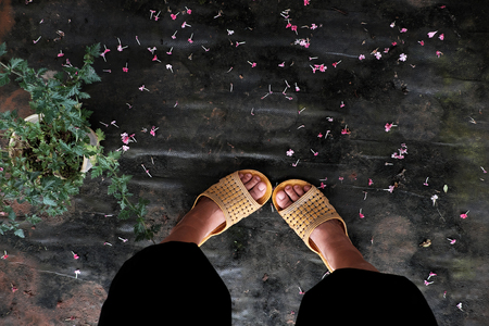 High view scene with feet of woman wear black pants and yellow plastic sandals stand in floor with tiny flower petal fall in gardenの写真素材
