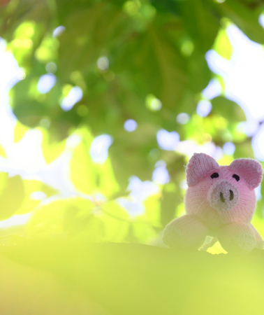 Amazing funny scene with handmade pink pig stand under green tree canopy, close up shot of knitted piggy with blur background of fig trees on dayの写真素材