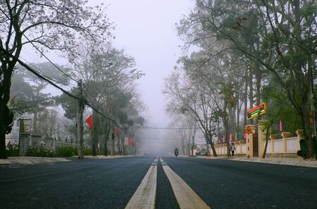 Amazing landscape of Da Lat city, Viet nam in early morning, row of white flower tree in fog, foggy street with crosswalk in cold weather of spring, beautiful view for travel, Viet Namの写真素材