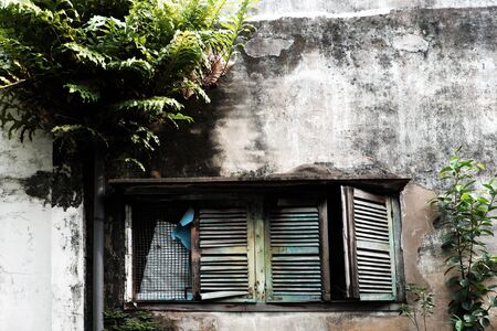 View of exterior aged  house with old wooden window and fern plant grow up on wall at Ho Chi Minh city, Vietnam on dayの写真素材