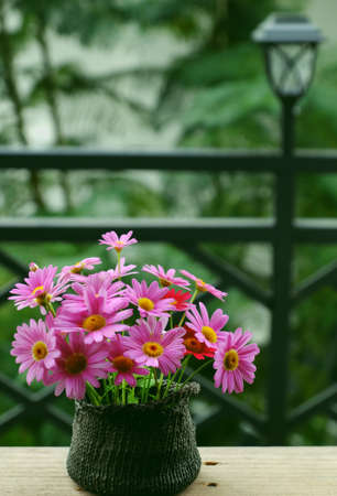Beautiful colorful flower vase with variety daisy blossom on wooden window frame of house to decor home in springtimeの写真素材