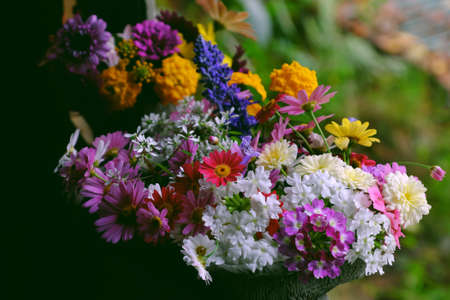 Beautiful colorful flower arrangement for decor inside home, variety tiny daisy just cut from home garden to make wonderful space in spring time, vase of flowers ready to decoration on woodenの写真素材