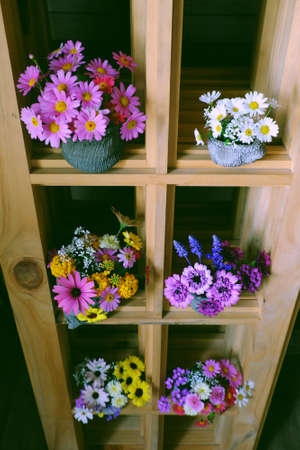 Group of colorful flower pot on wooden shelves for home decor, many daisy so pretty blossom vibrant, romantic space decoration in springの写真素材