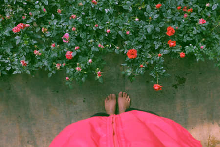 Top view Vietnamese vegan food for lunch meal, tomato soup bowl cook with ripe tamarind, colocasia gigantea and basil leaf, simple dish but delicious homemade eatingの写真素材
