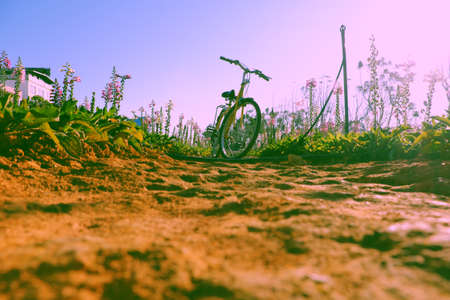 Beautiful landscape for Da Lat travel in springtime, yellow bike in  colorful bell flower garden on day, flora bloom vibrant make wonderful place for tourの写真素材