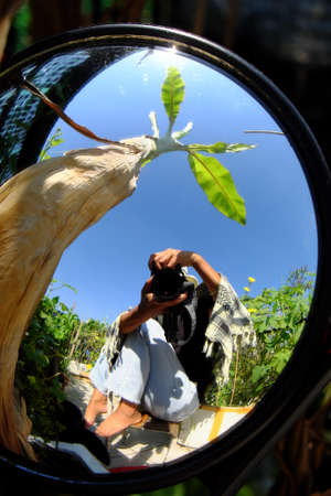 Amazing Vietnamese female photographer take photo by selfie via convex mirrors, woman sit on wooden chair, camera in hand, under banana tree and blue sky at home rooftop gardenの写真素材