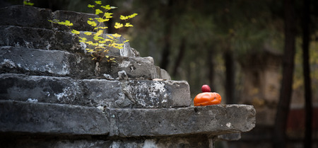 Persimmon and stoneの写真素材