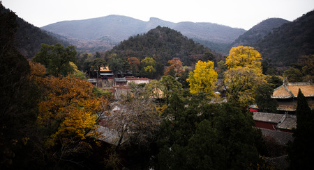 landscape of templeの写真素材