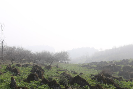 Mist tourの写真素材