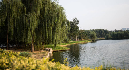 Nature landscape view of plant at the lakeside