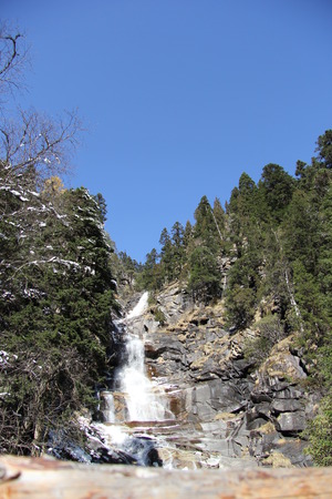waterfall in the forestの写真素材