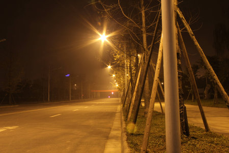 Empty road at nightの写真素材