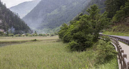 landscapeの写真素材