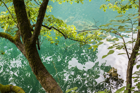 The green landscapeの写真素材