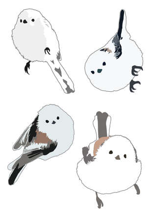 Illustration Data Shimaenaga 1

Fluffy, pure white and cute!ãIt is four illustrations of the wild bird, Shimaenaga, also referred to as the "snow fairy".の写真素材