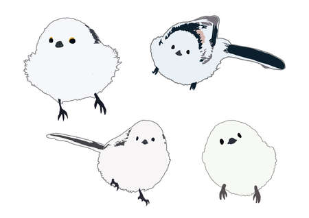 Illustration Data Shimaenaga 2

Fluffy, pure white and cute!ãIt is four illustrations of the wild bird, Shimaenaga, also referred to as the "snow fairy".の写真素材