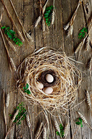 top view of eggs in a nestの写真素材